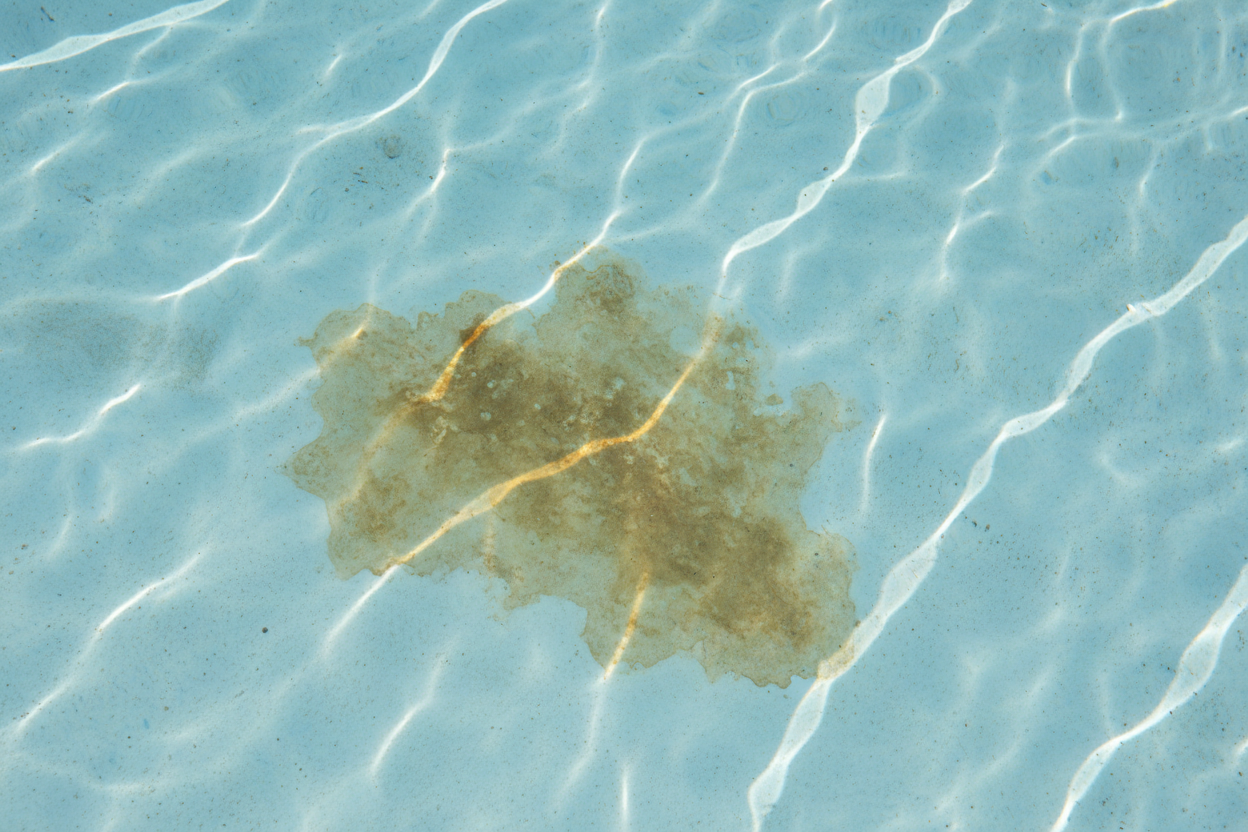 Do Pool Ionizers Cause Staining? The Truth About Copper, Water Balance ...