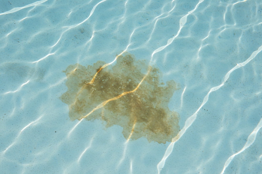 Do Pool Ionizers Cause Staining? The Truth About Copper, Water Balance, and What Actually Goes Wrong